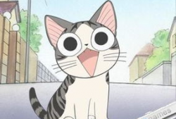 日本动漫猫,探寻日本动漫中的猫咪魅力